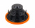 DL Audio Piranha 12 V.2 DL Audio Piranha 12 V.2